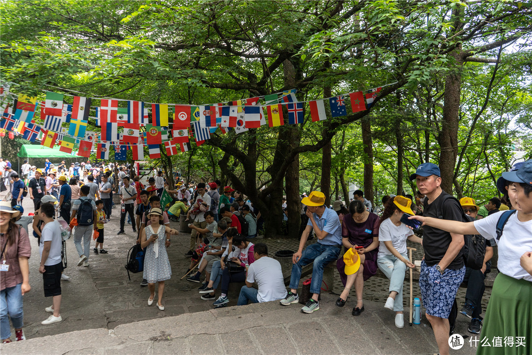 住古村，登黄山，品古韵—有一种文化叫徽州（下篇）