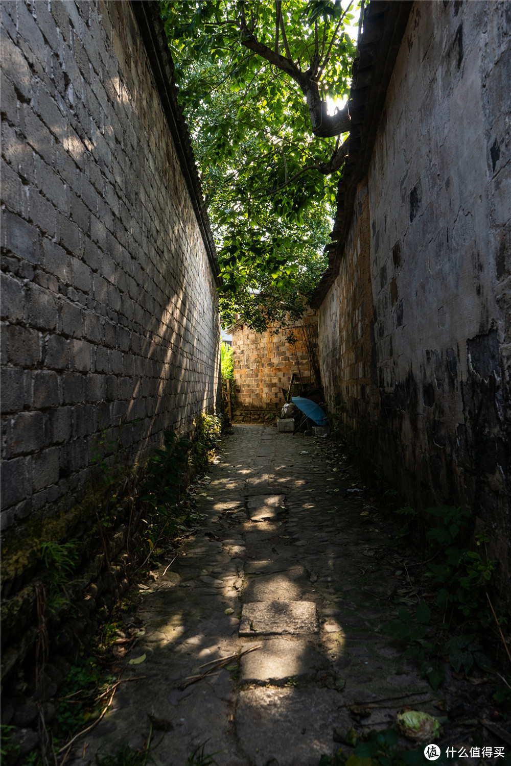 住古村，登黄山，品古韵—有一种文化叫徽州（下篇）