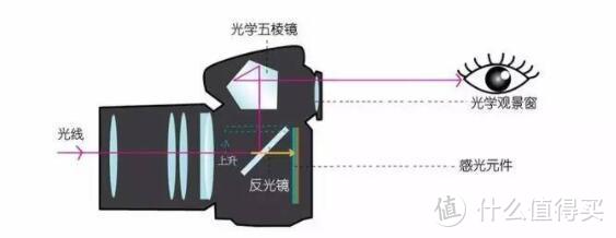 为了让我姐买单反我给她科普了三页纸，最后她选择了卡片机...