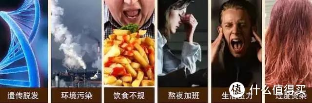 如何拯救油头星人、脱发怪人，这篇文章告诉你！！！