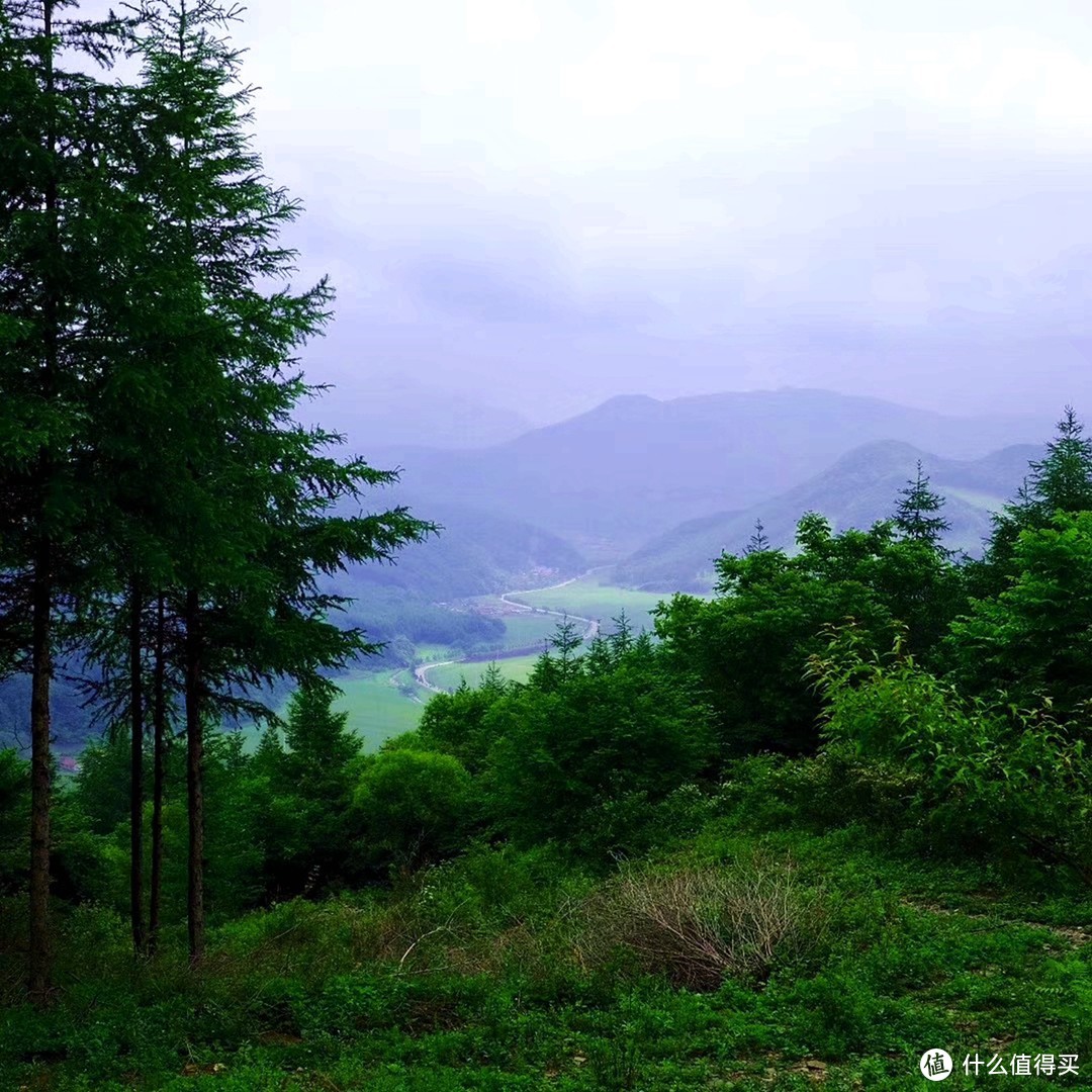 远眺，感觉这片山都是我们的