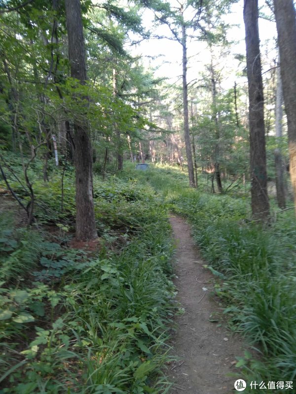 撒野-求虐:2018年崂山100越野赛50公里完赛小