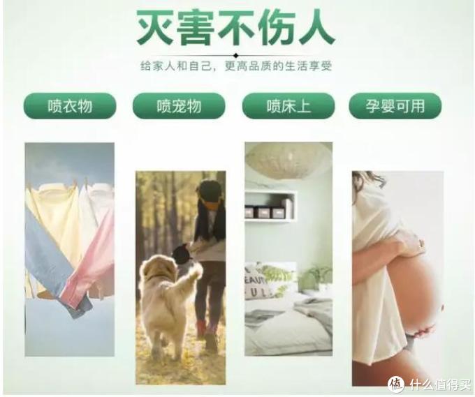 消灭蟑螂很简单！了解蟑螂的天敌就能轻松将TA们连根拔起！
