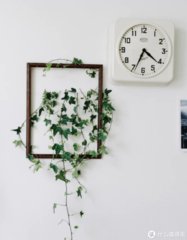 玩转宜家 篇九:50个实用案例,教你低成本布置绿