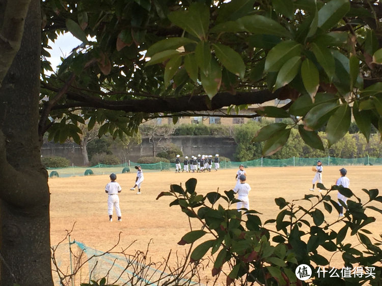 治愈系小路—从河西公园到矶浦海滩