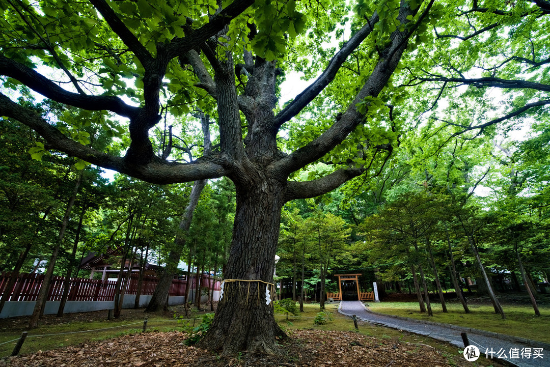 北海道神宫外围的小神社