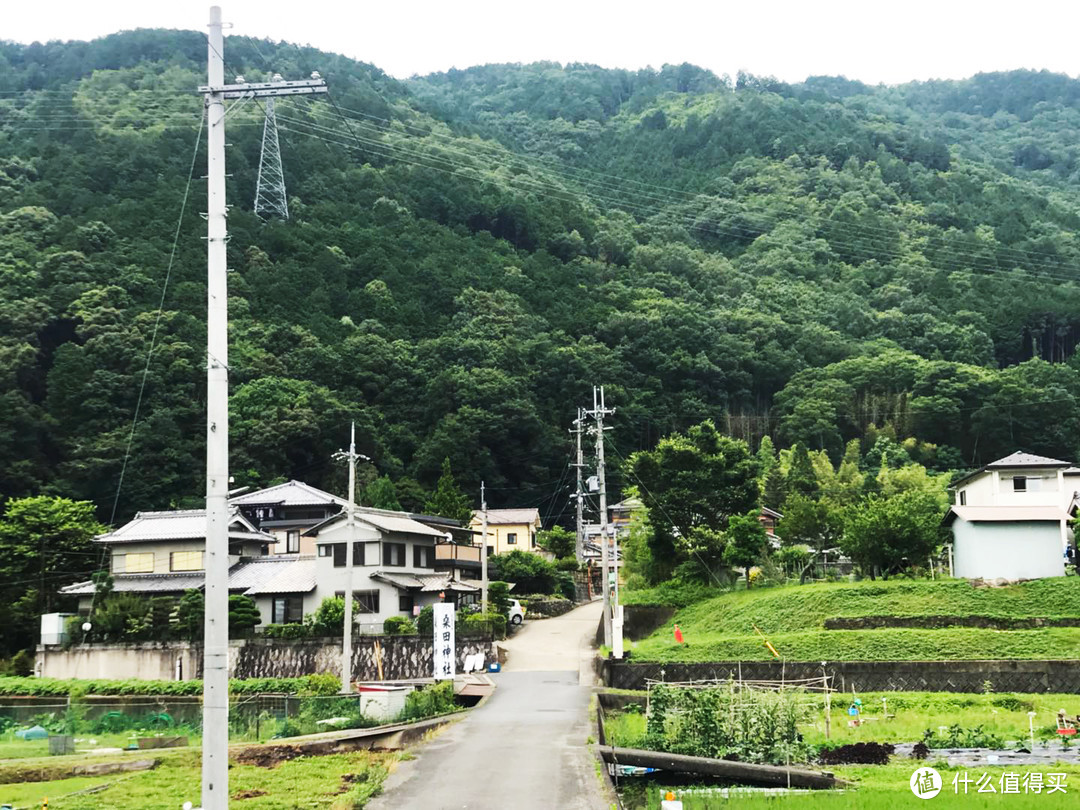 通往乡村的小路