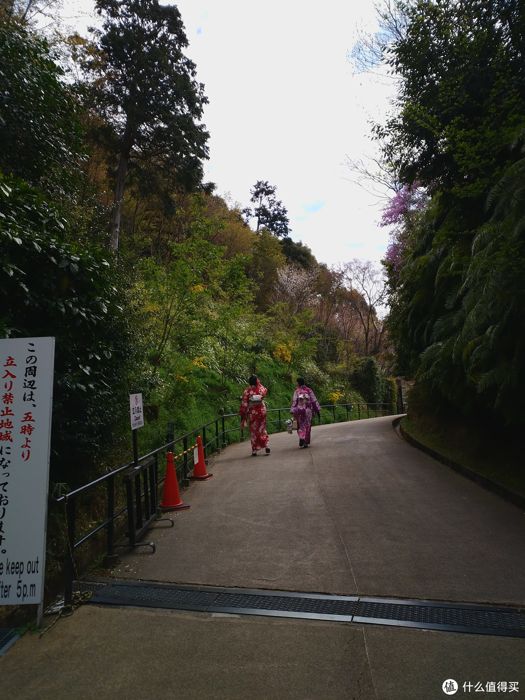 暴走霓虹第三弹！敲多图记录200斤18岁少女的关西之旅