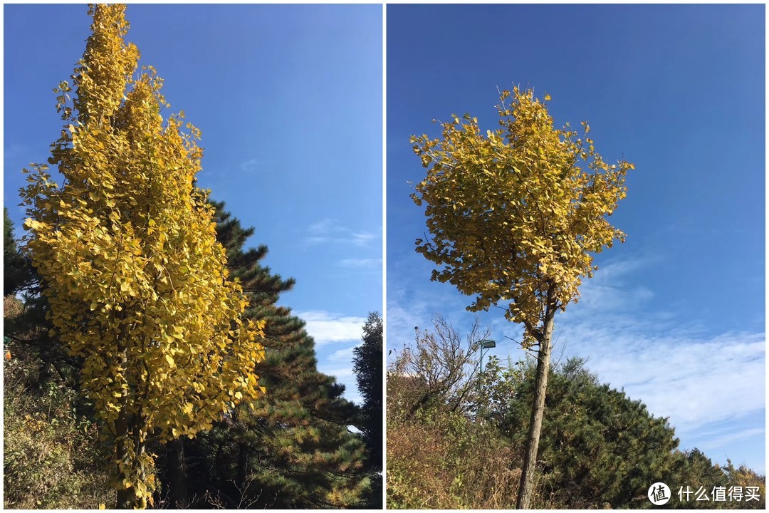 每年去一次南岳衡山是种什么体验？