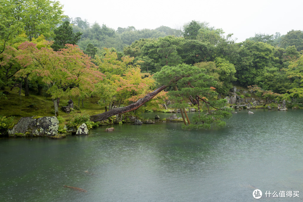 园景