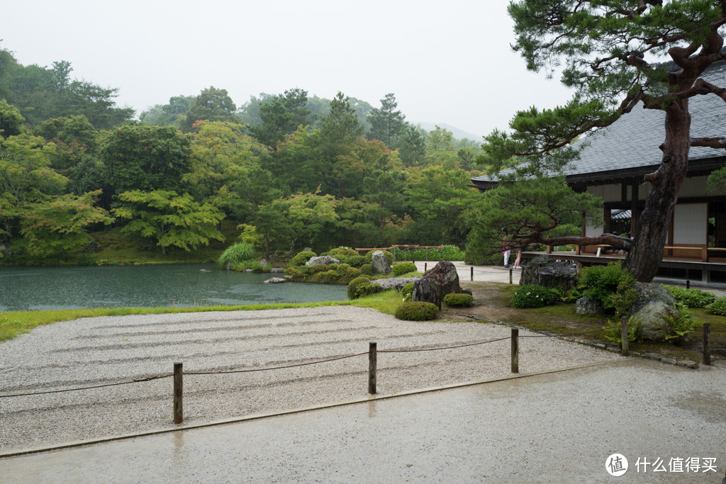 DAY9-10 最终章：嵯峨野、二条城、滚回家上班