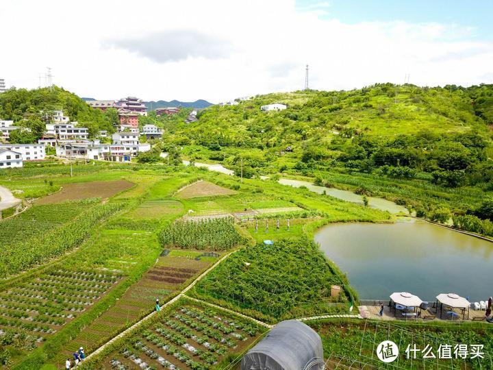 与古镇为伴，枕茶香入眠，感受不凡的贵州之旅