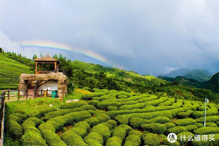 与古镇为伴，枕茶香入眠，感受不凡的贵州之旅