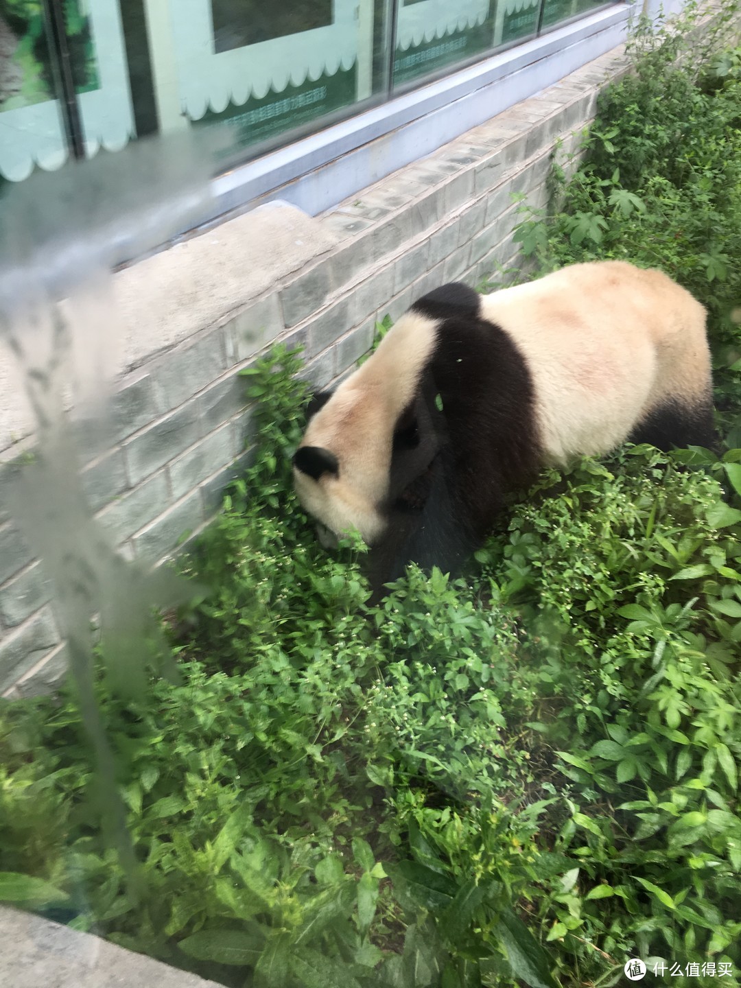 酷夏来临之前的北京亲子5日游