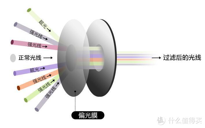 合理合逻辑，近视眼也要好看——高特GT66001-CO25近视运动太阳镜