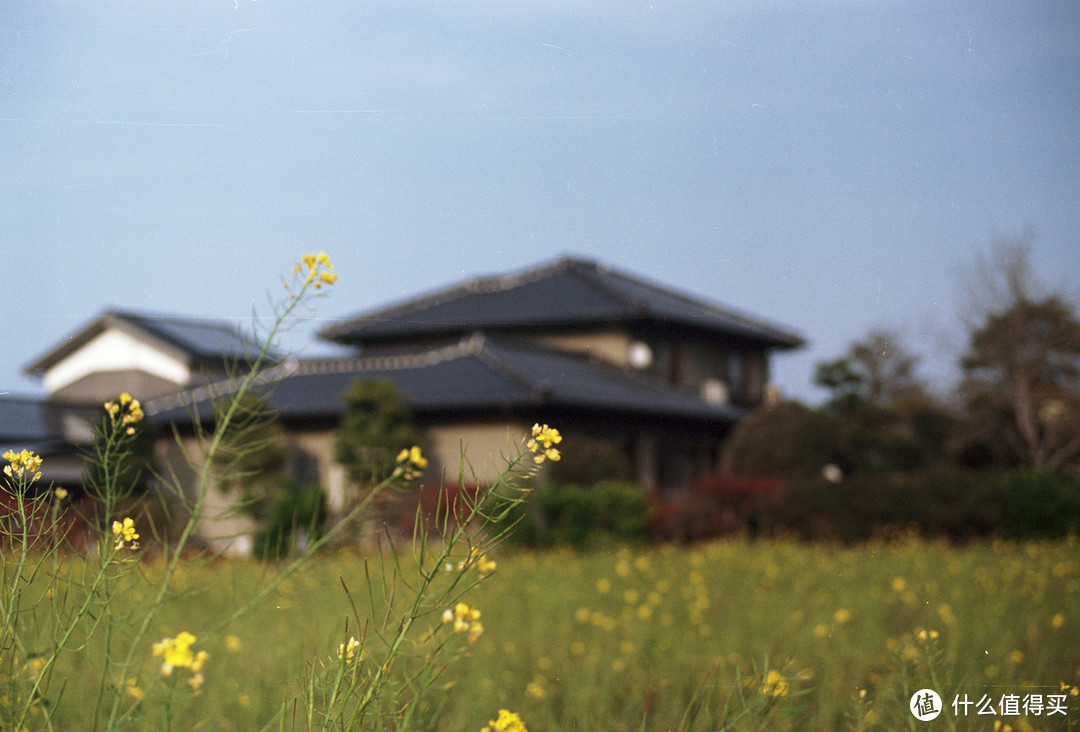 带上胶片去日本自驾—OLYMPUS 奥林巴斯 OM-1 MD的胶片记录