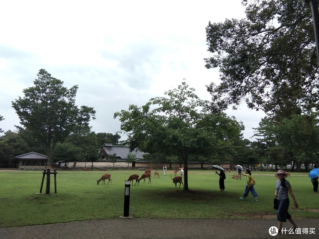 四日玩转大阪、京都、奈良