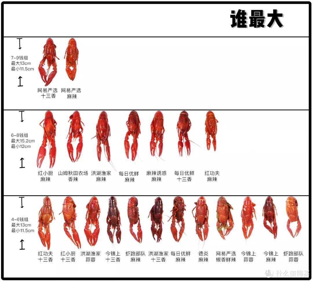 吃完480只小龙虾，撸出这份宵夜终极指南