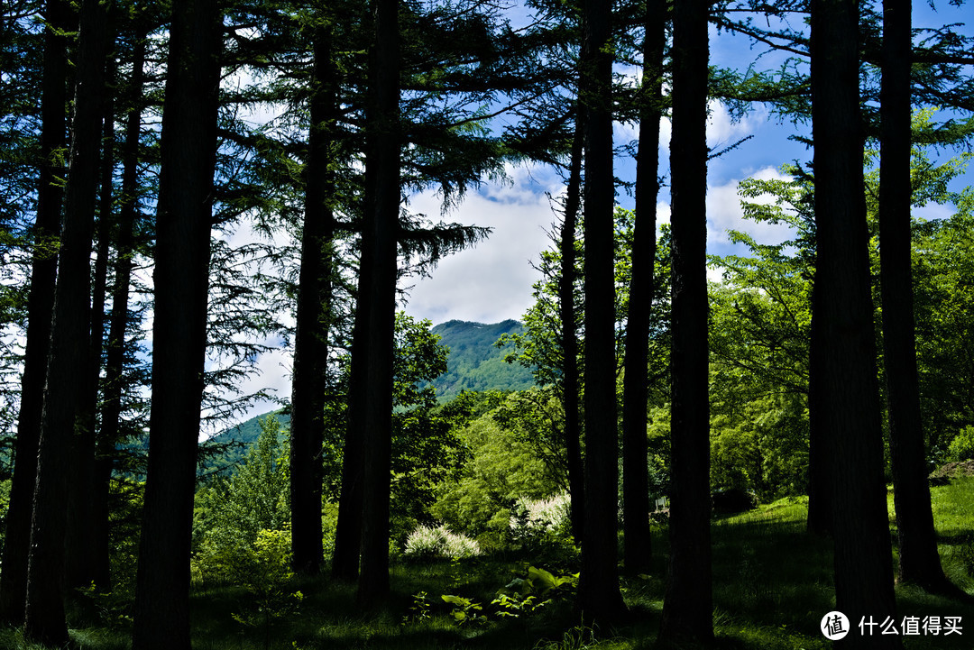 远处的山峰