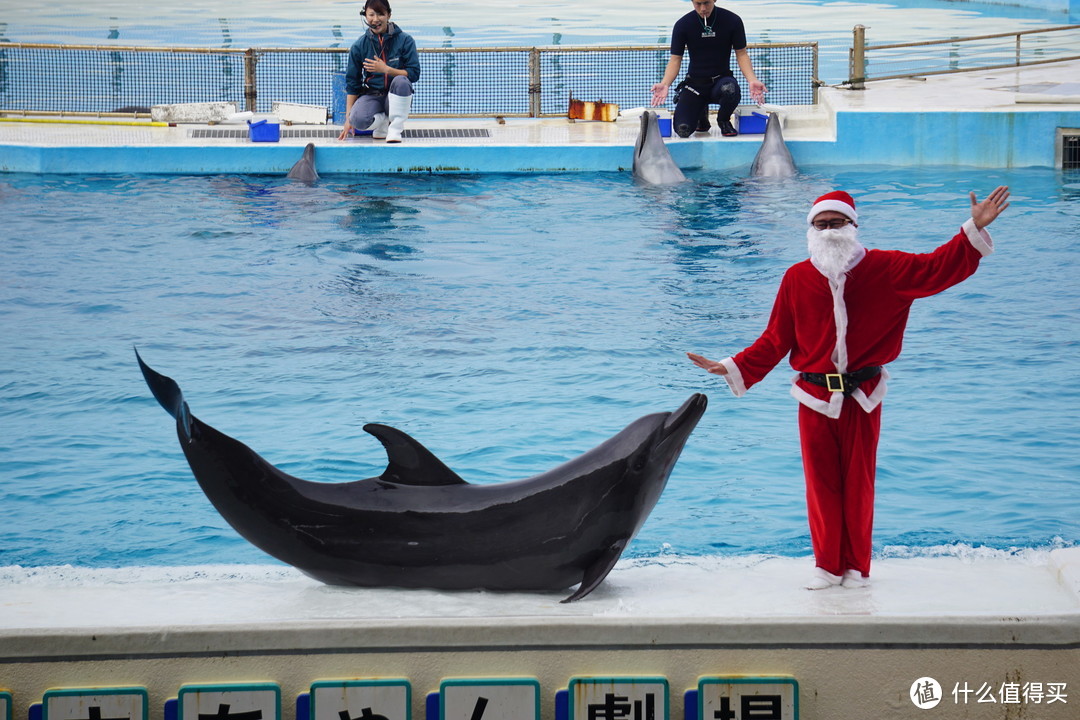4天3晚撸猫观鲸冲绳过圣诞，误打误撞买switch
