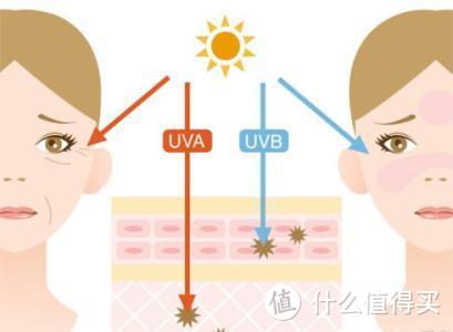 安耐晒&碧柔—深度测评，烈日骄阳哪款网红防晒霜更适合你？