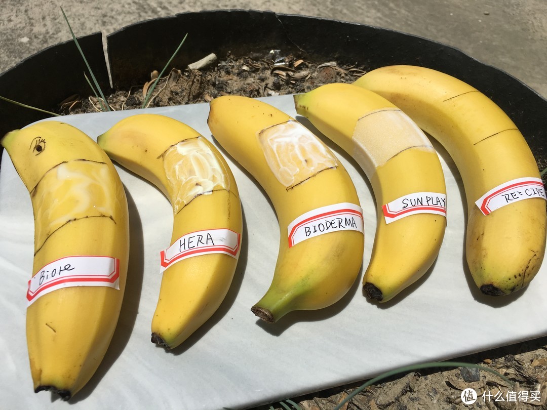 平价防晒霜测评 | 香蕉涂防晒霜的后果，瞬间惊呆了！