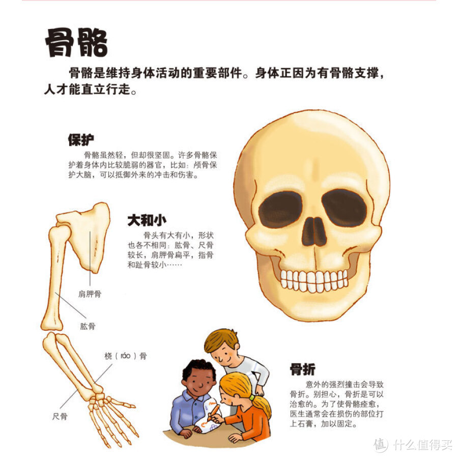 【好物榜单】性启蒙与安全教育，3-6岁儿童读物推荐