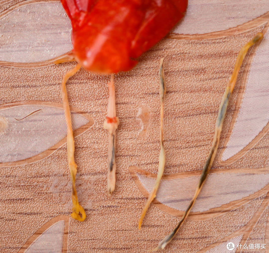 冻熟小龙虾怎么选？——从鲜虾处理开始让你做个麻辣小龙虾烹食专家