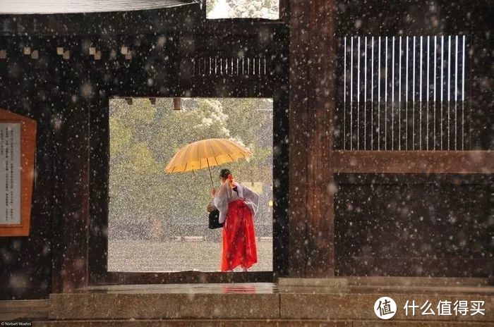 和服体验已经过时啦，去神社当一天的巫女，才是日本最新的时髦玩法~