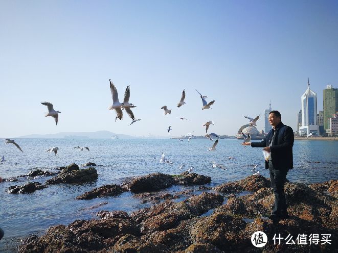 迎着冷风，看蕴蓝的大海扬帆—尝鲜北方之青岛&天津游记