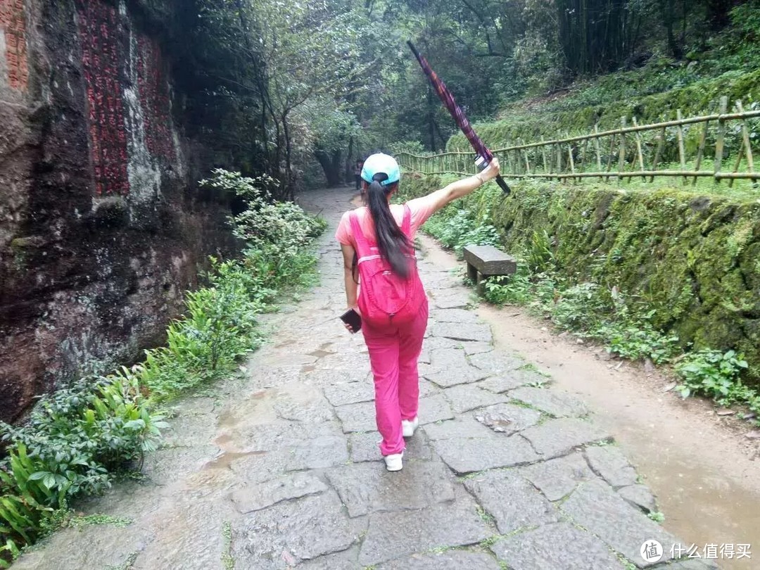 武夷山经风历雨