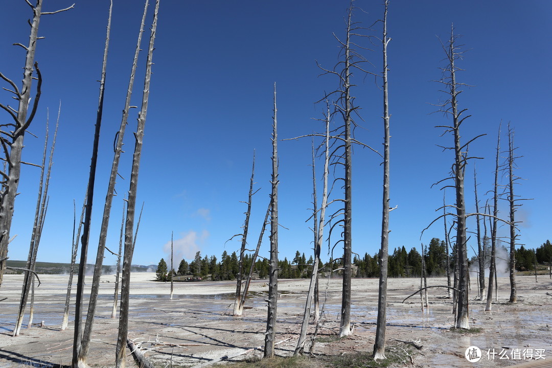 火山地貌独特景观，5月淡季黄石公园3日游！