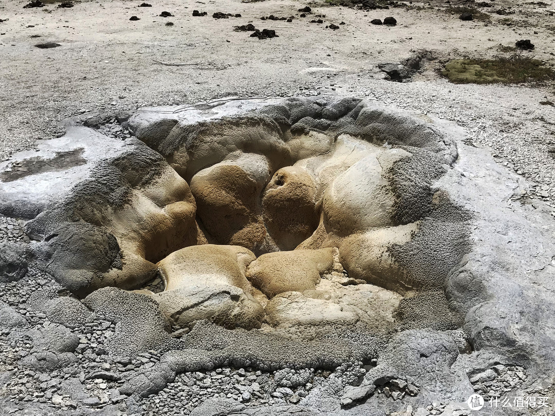 贝壳间歇泉（Shell Geyser）