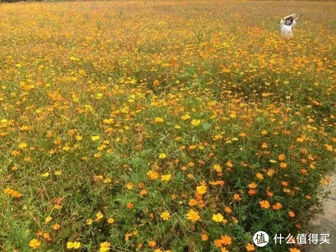 横跨20岁-55岁，钢铁直男也能学会的超简单拍妹技巧！