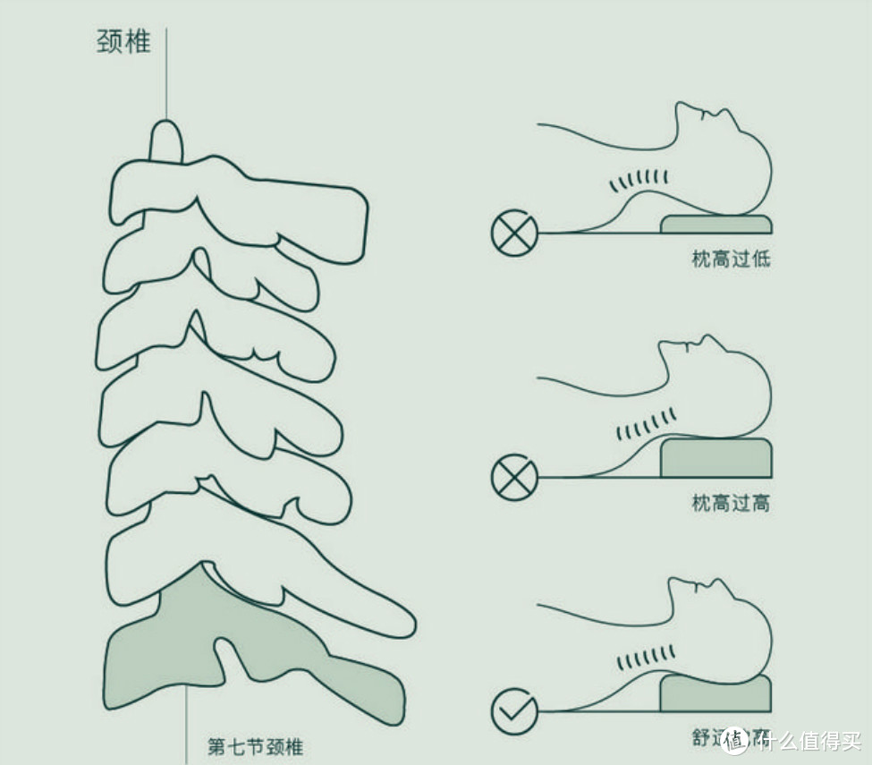 笑脸相迎 美梦到天明——菠萝斑马笑脸美肤枕使用评测