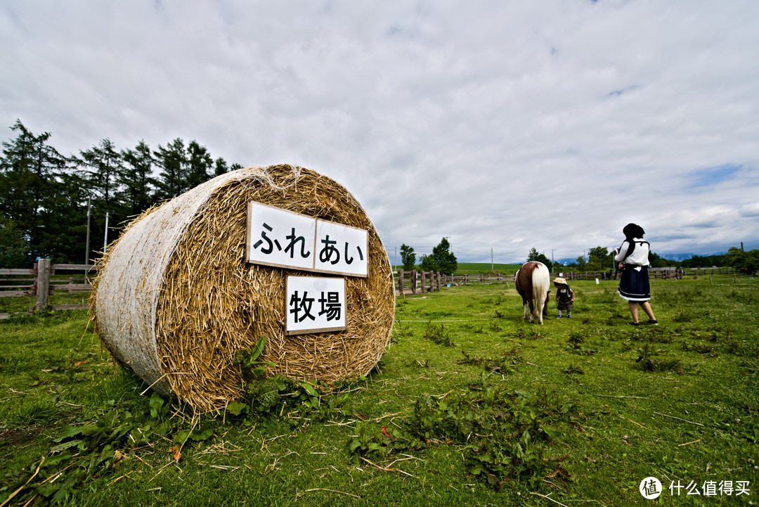 农场开放区的草垛