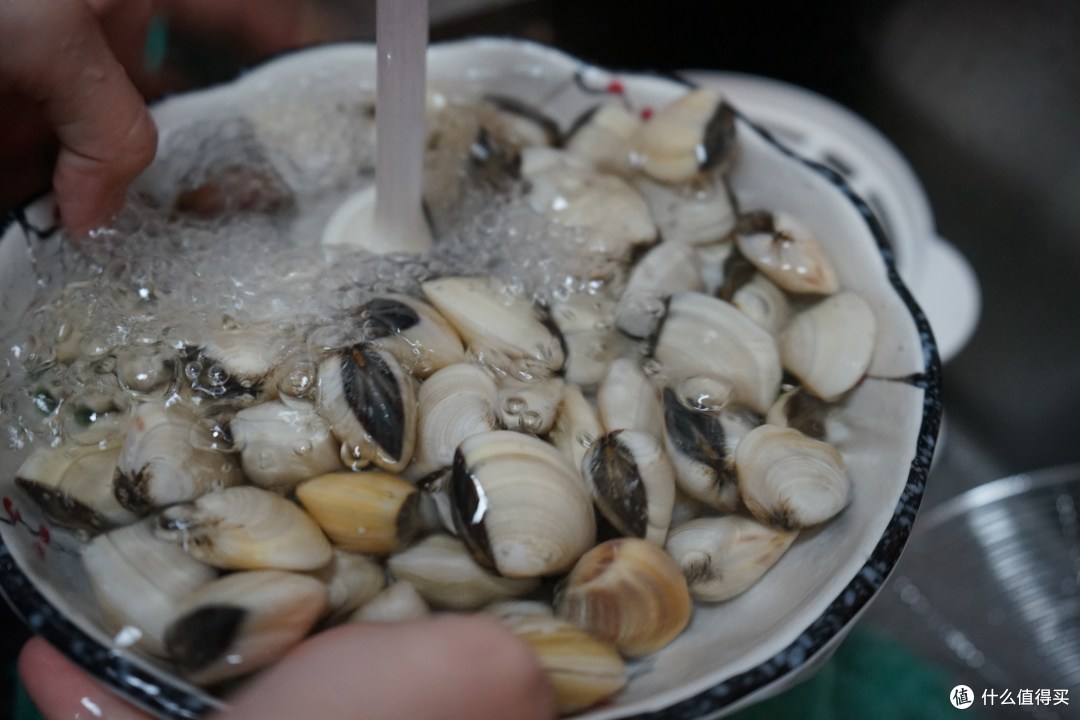 清洗白贝&泡水吐沙