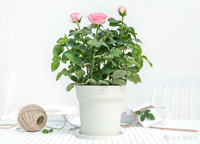 小米有品生活馆 篇四:居家生活还不够舒服?你