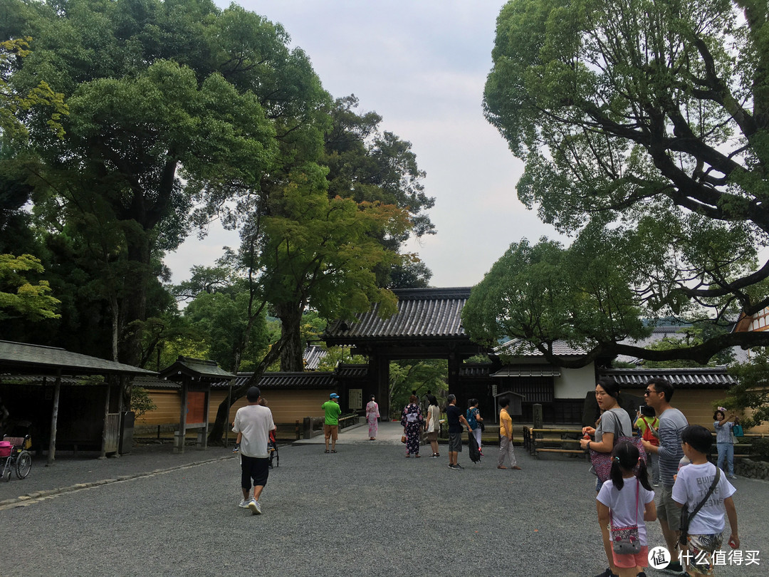 没有樱花和红叶的夏天，日本关西人文之旅怎么玩更有趣