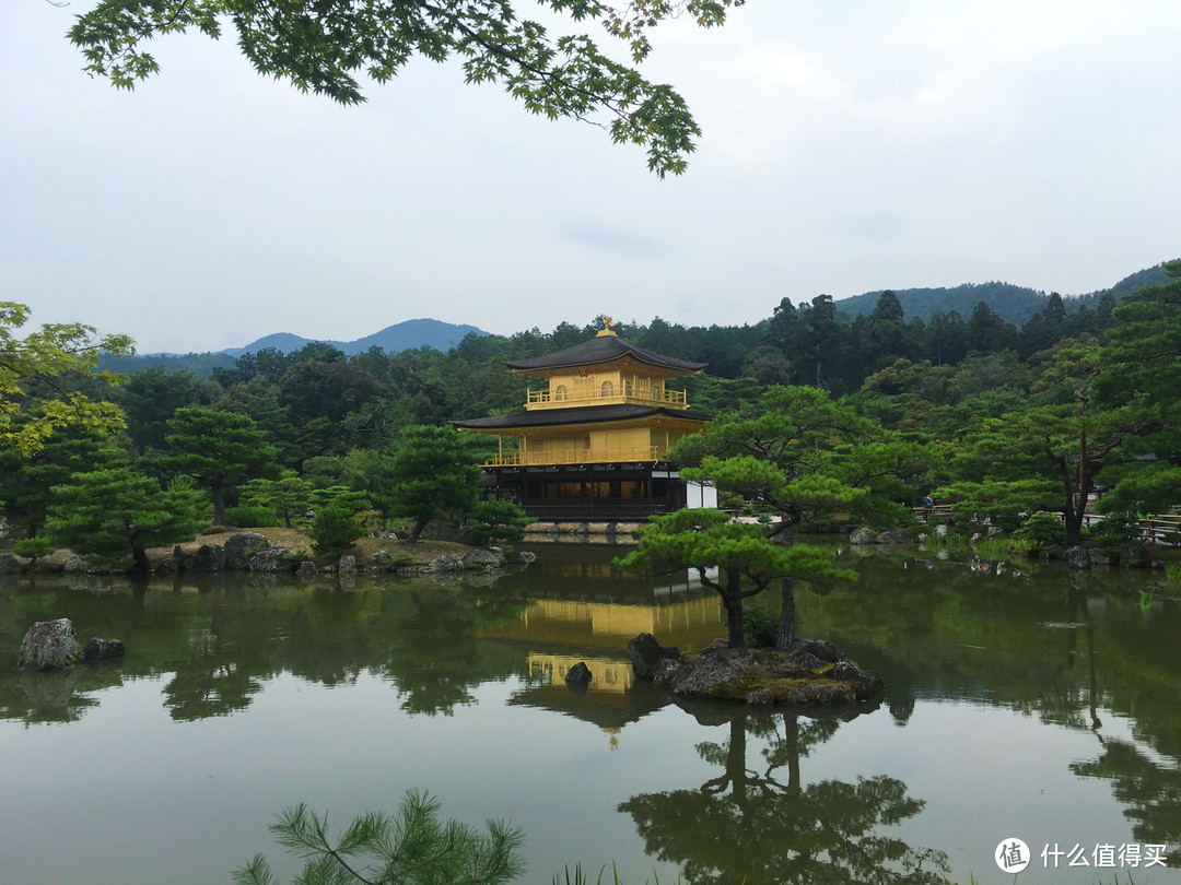 没有樱花和红叶的夏天，日本关西人文之旅怎么玩更有趣