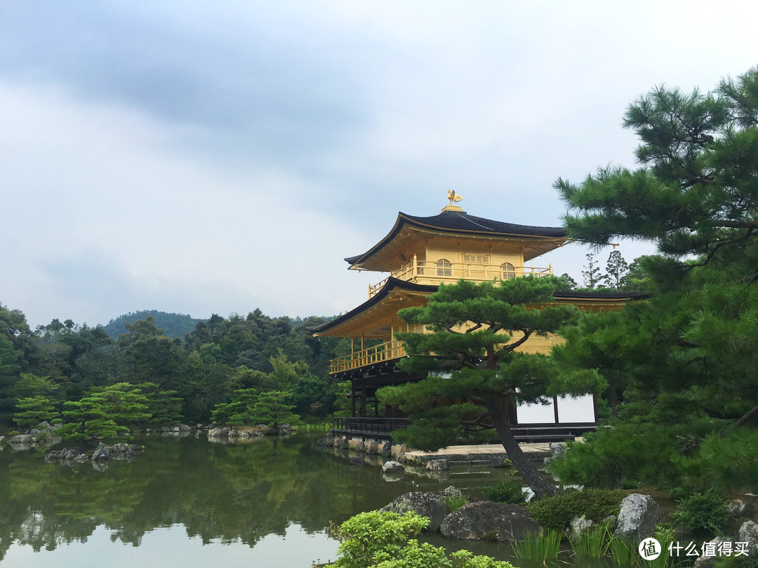 没有樱花和红叶的夏天，日本关西人文之旅怎么玩更有趣