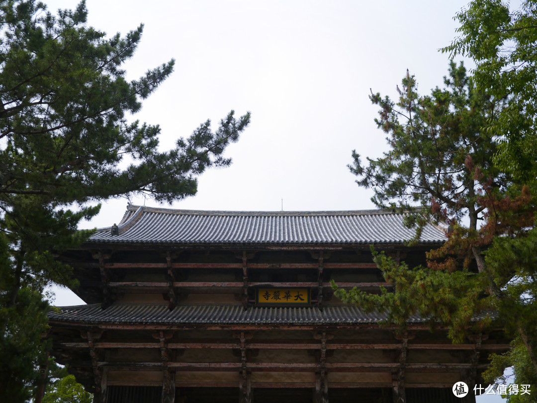 没有樱花和红叶的夏天，日本关西人文之旅怎么玩更有趣