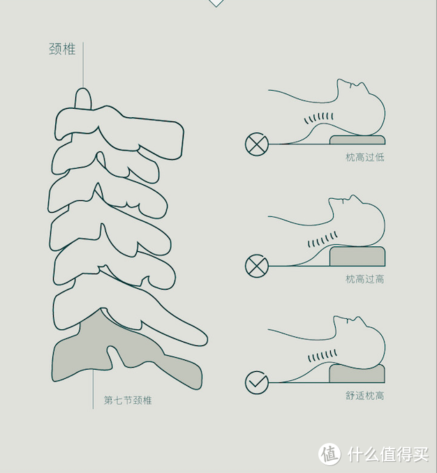 睡了那么多年，换个枕头试试吧——菠萝斑马笑脸美肤枕评测报告