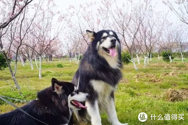 爱上小吉壁挂洗衣机的五个理由