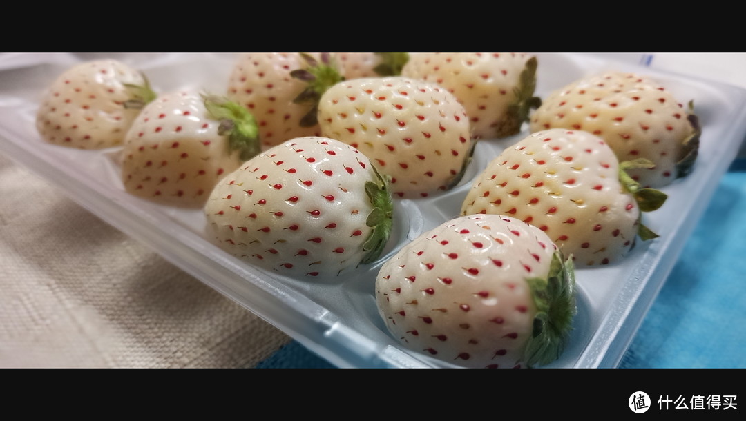 【函馆朝市】白色草莓
