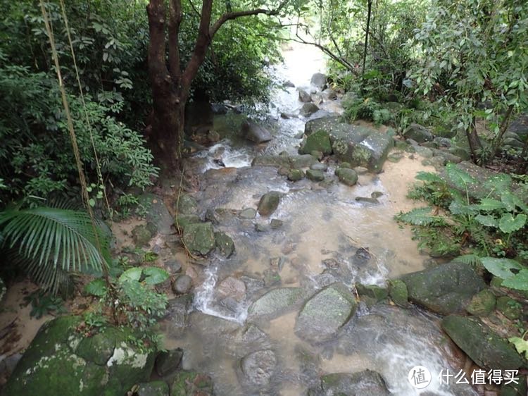 热带雨林慢生活，七仙岭君澜度假酒店入住体验