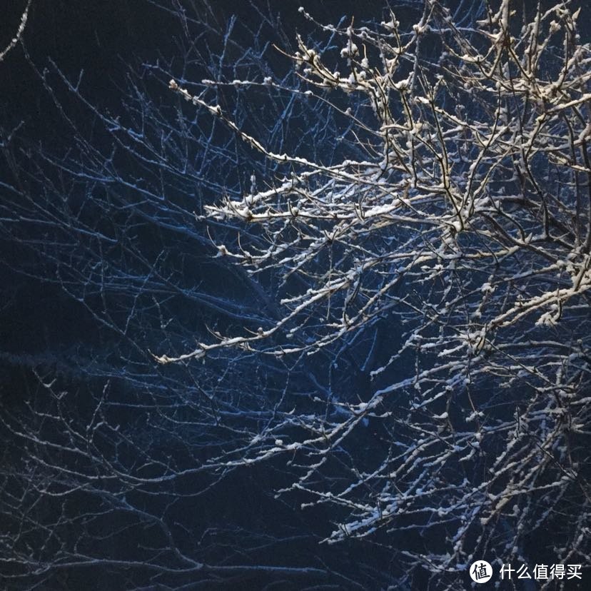 晚来天欲雪，华岳正当时。记雪夜登华山