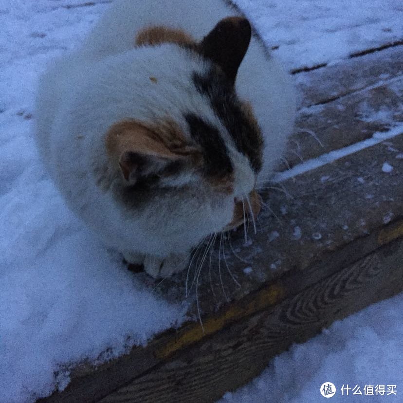 晚来天欲雪，华岳正当时。记雪夜登华山