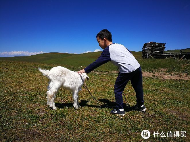 带娃游新疆——我们仨在乌鲁木齐、吐鲁番、伊犁