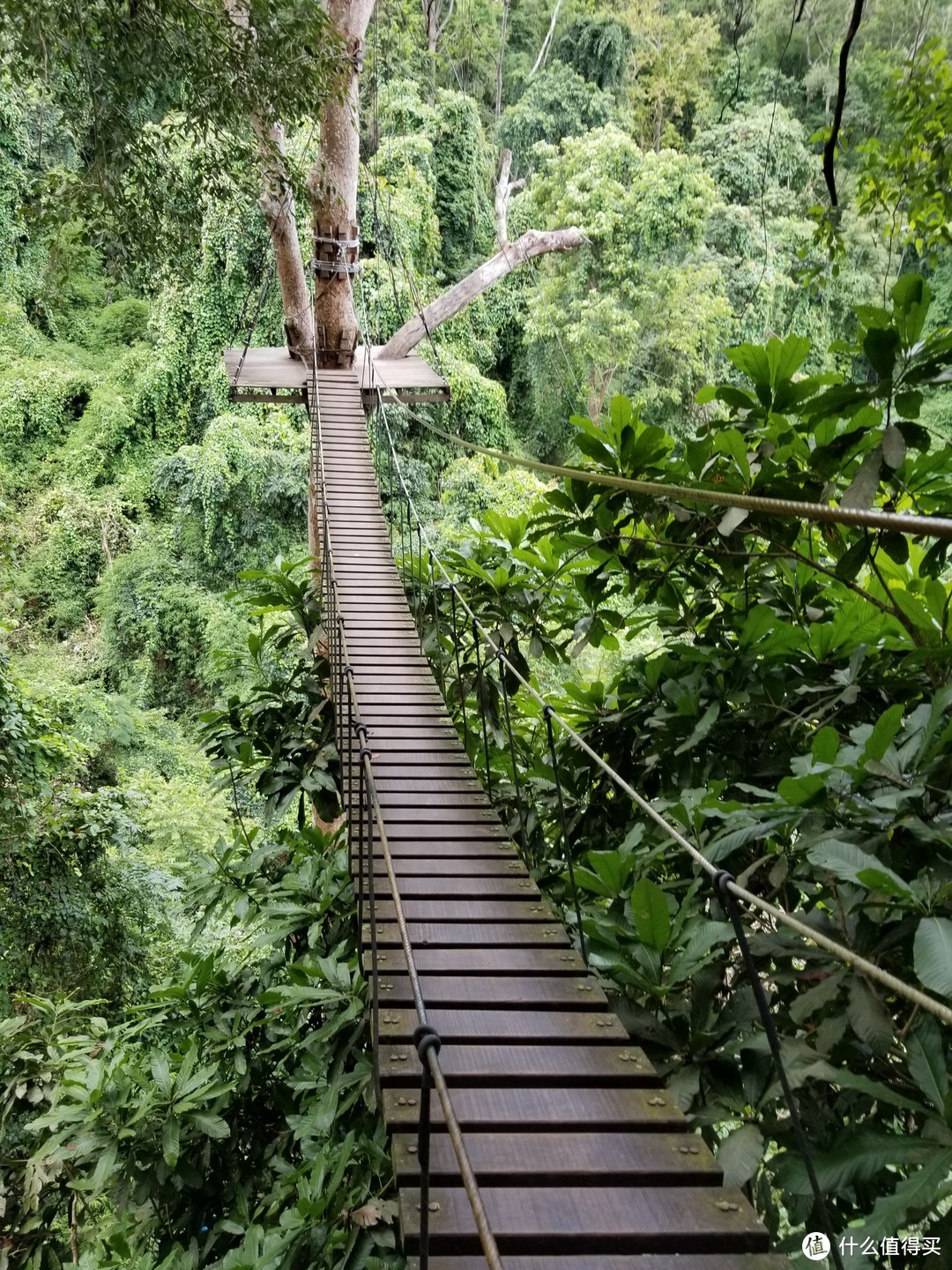 小确幸的流水记账式Thai旅途篇上—清迈